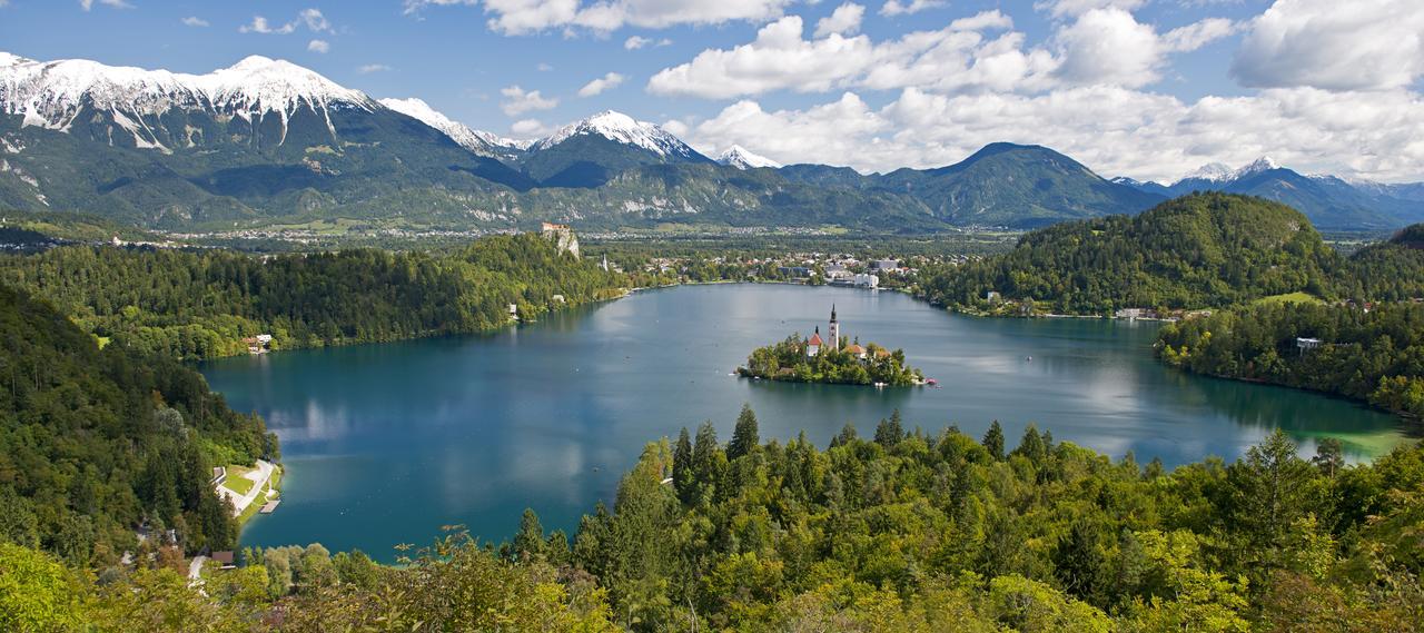 Vila Lipa Bled Kültér fotó